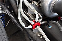 17festival (993).JPG